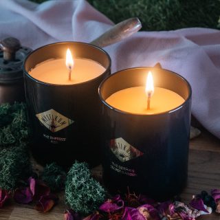 Sora Dora Gladiator: Youthful Energy in a Stunning Niche Package